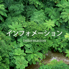 インフォメーション